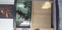 Aqua one AQUARIUM WITH STAND AND LIGHTS AND LID REDUCED £100