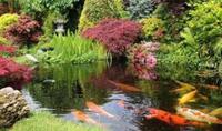 WORCESTERSHIRE POND CLEANING AND MAINTANCE SERVICE