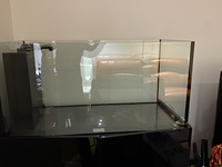Reef Aquarium- complete with equipment and accessories