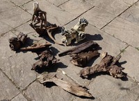 Free: 8 small pieces of bog wood - Peterborough