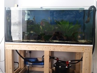 5x2x2 tank with stand fx4 filter fluval aquasky 2.0 light and vecton v600 uv sterilizer with pump