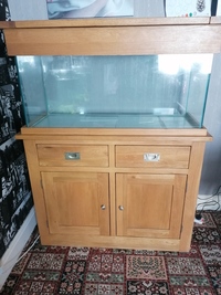 Aqua Oak fish tank