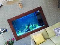 Large aquarium in the wall