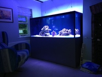 5.5ft (L) x 2.5ft (W) x 26in (H) Aquarium, sump and Fit Filtration stand.