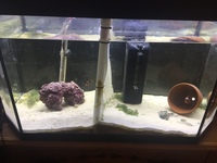 Full marine aquarium setup