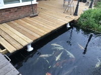 Large Koi Re-homed Ponds Cleared