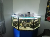 4ftx4ft octagonal fishtank with stand shop quality