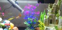 Sell Aquarium with fishes - 07860245299