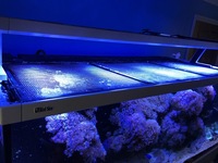 Red Sea Max S650 + 4 Hydra 26 HD LEDs £2995