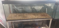 Fish tanks for sale. 5 foot and 4 foot