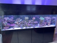 Selling up everything including large tank