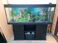 Used Juwel Rio 400 aquarium & cabinet, w filters, heater, accessories