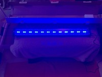 GOING FAST ONLY 1 LEFT/NEW BARGAIN £30 very very bright/light 120 L.E.D.S/ new bargain,day light and blue evening lite 120 L.E.D lights