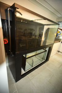 Large Aquarium - Optiwhite Glass with Sump