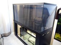 Large Aquarium - Optiwhite Glass with Sump
