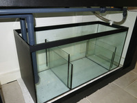 Large Aquarium - Optiwhite Glass with Sump