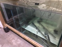 Full fish room set up