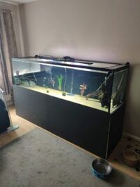7x2x2 Tank & Equipment (Open to offers)