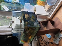 Manchester M45 October 2020 Update - Huge Tanks BONANAZA - Over 200 pre-owned ORNAMENTS + Bogwood, Air pumps, Plants etc plus loads of other stuff. From £2 upwards. Viewings welcome Manchester M45