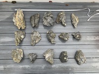 Sieryu Stone - Aquascaping Rocks - £30