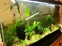 VERY GOOD CONDITION FISH TANKS and equipment for sale