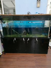 5 foot aquarium fish tank with cabinet just£200