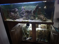 5 foot tank for sale