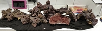 Marine rock nearly 17kg