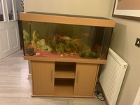 Must Go Juwel Rio 350 Tank and Cabinet Full Set UP £300