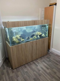 5 Foot custom built aquarium (FULL SETUP) £750