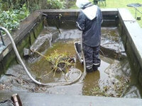 Howie Koi Dorset - Pond Cleaning and Maintenance - Covers Dorset, Hampshire and Somerset
