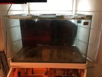 FREE Tank no sump Collection from Watford Hertfordshire