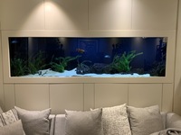 900 Lt Freshwater Tank and fish for sale.