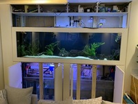 900 Lt Freshwater Tank and fish for sale.