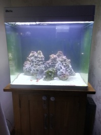 Marine full setup Red Sea Max 130D £250