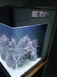Marine full setup Red Sea Max 130D £250