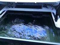 Marine full setup Red Sea Max 130D £250