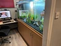 7ft x 3ft x 2ft Clearseal tank like new with stock