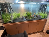 7ft x 3ft x 2ft Clearseal tank like new with stock