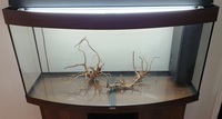 Juwel vision 260 litre Fish Tank + cabinet, bow front, Dark Wood, Filters, Heaters&.....for sale