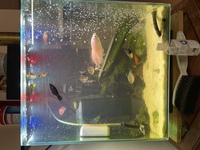 Complete Fluval Edge 54l