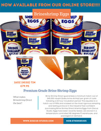 Brineshrimp Direct Premium Artemia Eggs