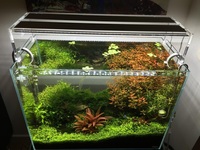 ADA cube garden aquarium with Aquasky 602 LED lighting and Metalic ADA stand