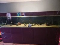 Fish tank