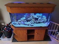 Complete set up. Selling up.