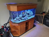 Complete set up. Selling up.