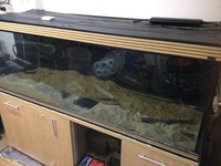 6ft x 2ft x 2ft Aqua One tank