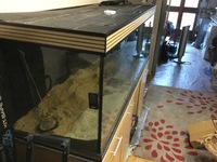 6ft x 2ft x 2ft Aqua One tank