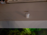 ABSOLUTE BARGAIN/£300 THE LOT INCLUDING THE FISH MAD PRICE/ NEW PICTURES ADDED/FULL SET UP WITH FISH/ BARGAIN/LARGE BESPOKE AQUARIUM IN WHITE,4FT 6 inches LONG X 2FT HIGH X 20 inches DEPTH.