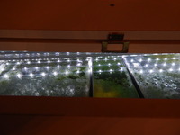ABSOLUTE BARGAIN/£300 THE LOT INCLUDING THE FISH MAD PRICE/ NEW PICTURES ADDED/FULL SET UP WITH FISH/ BARGAIN/LARGE BESPOKE AQUARIUM IN WHITE,4FT 6 inches LONG X 2FT HIGH X 20 inches DEPTH.